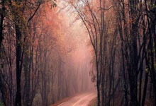 奇兵崛起，劲旅不敌神秘强队：揭秘颠覆者背后的惊人力量