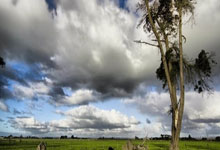 柏林赫塔客场小胜多特蒙德，神话延续！联赛榜首易主，蓝白军团书写新篇章