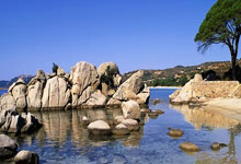 河南队在与湖北队疯狂对攻中胜出：一场足以载入史册的史诗对决！